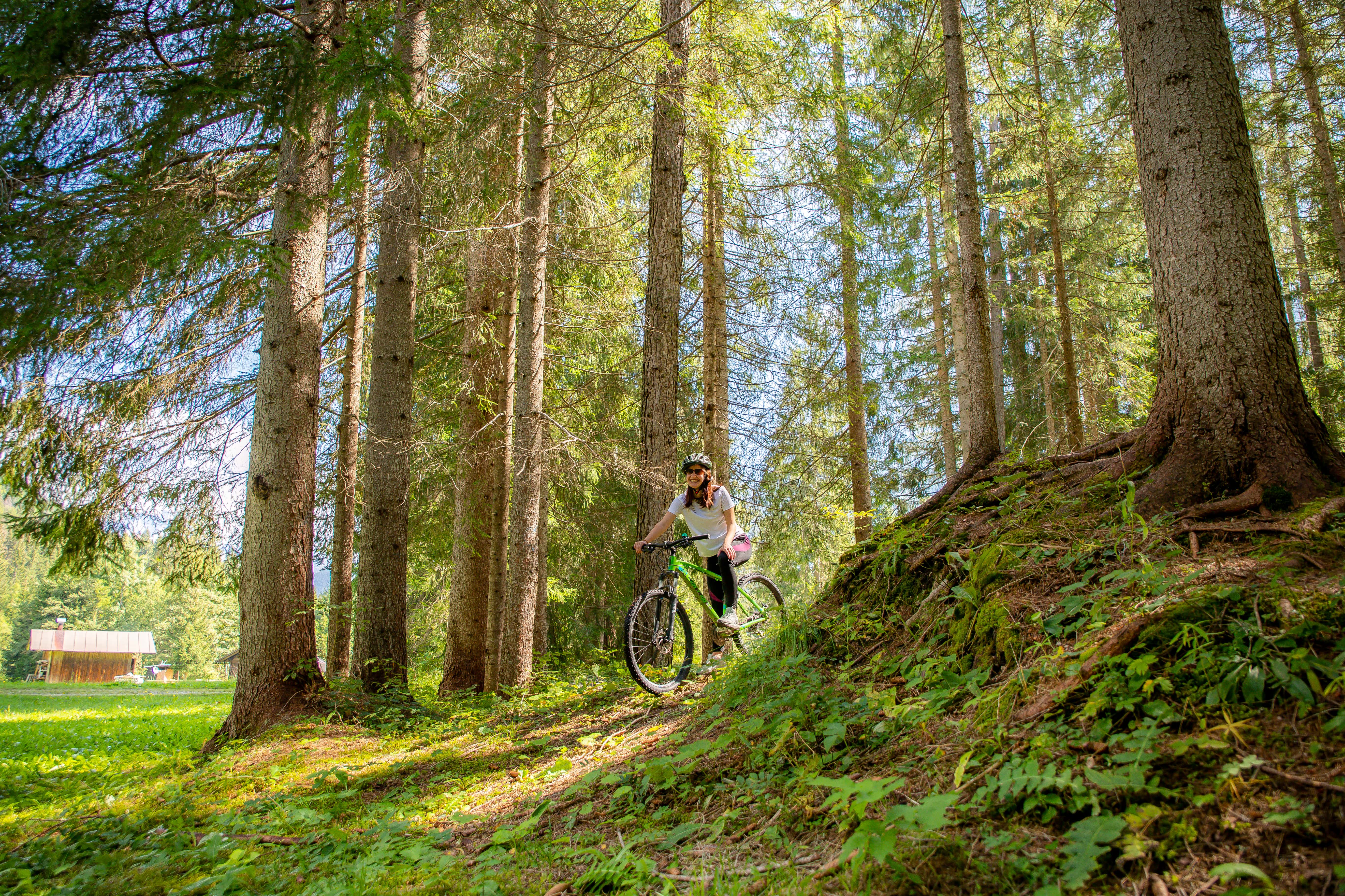 Foresta di Somadida